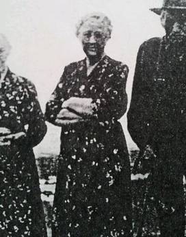 bridget baldwinenright1878.jpg