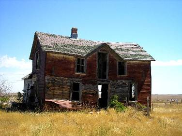 okatonsdcrazybearhome.jpg